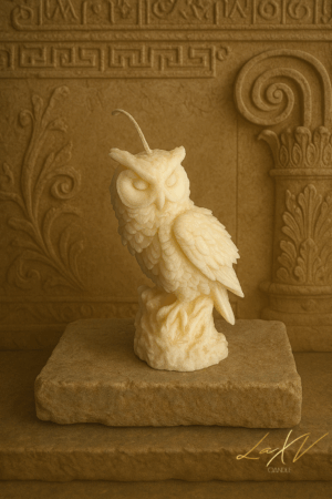 calathea beauty star